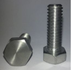 Moly fasteners